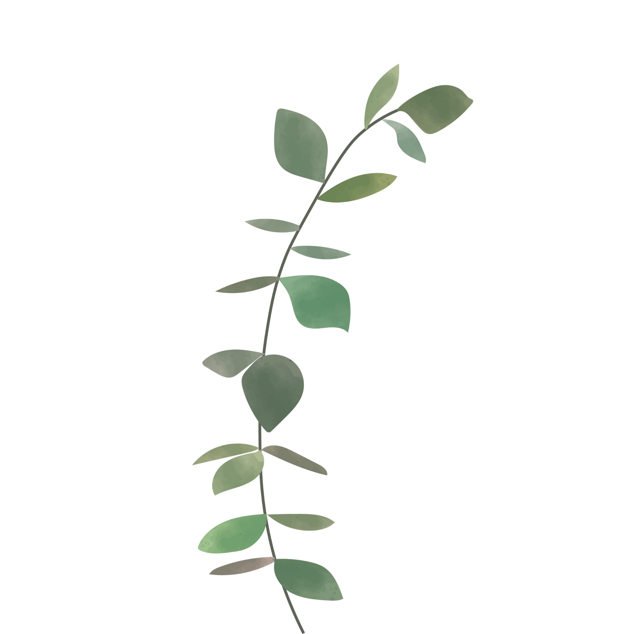 grüner Zweig grüner Zweig