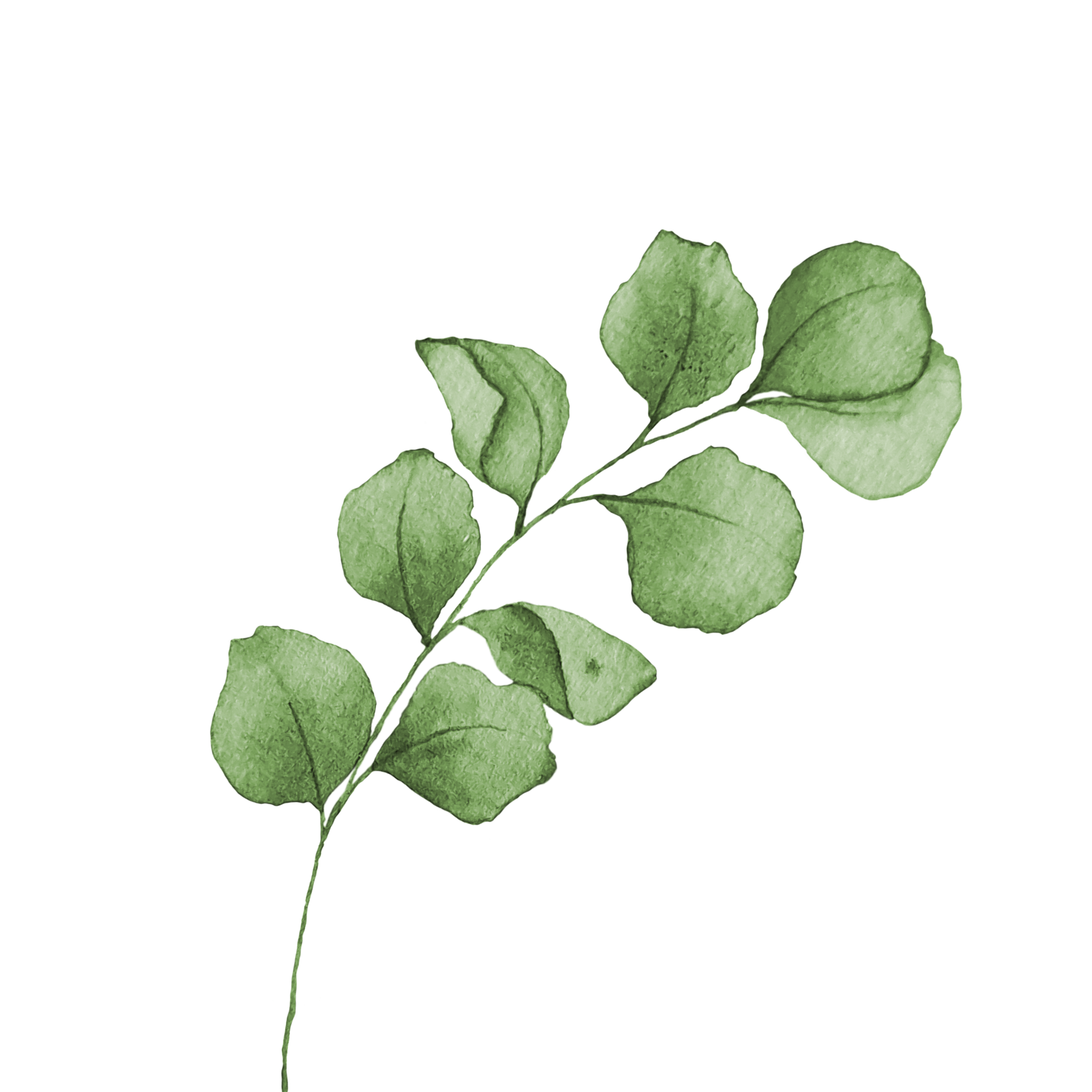 grüner zweig grüner Zweig