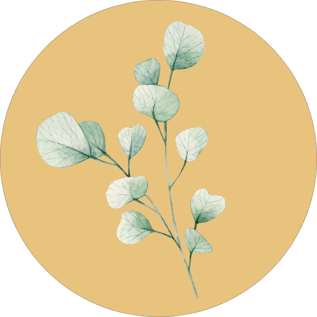 Blume im gelben Kreis