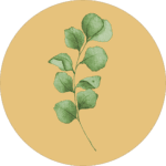 Blume im gelben Kreis