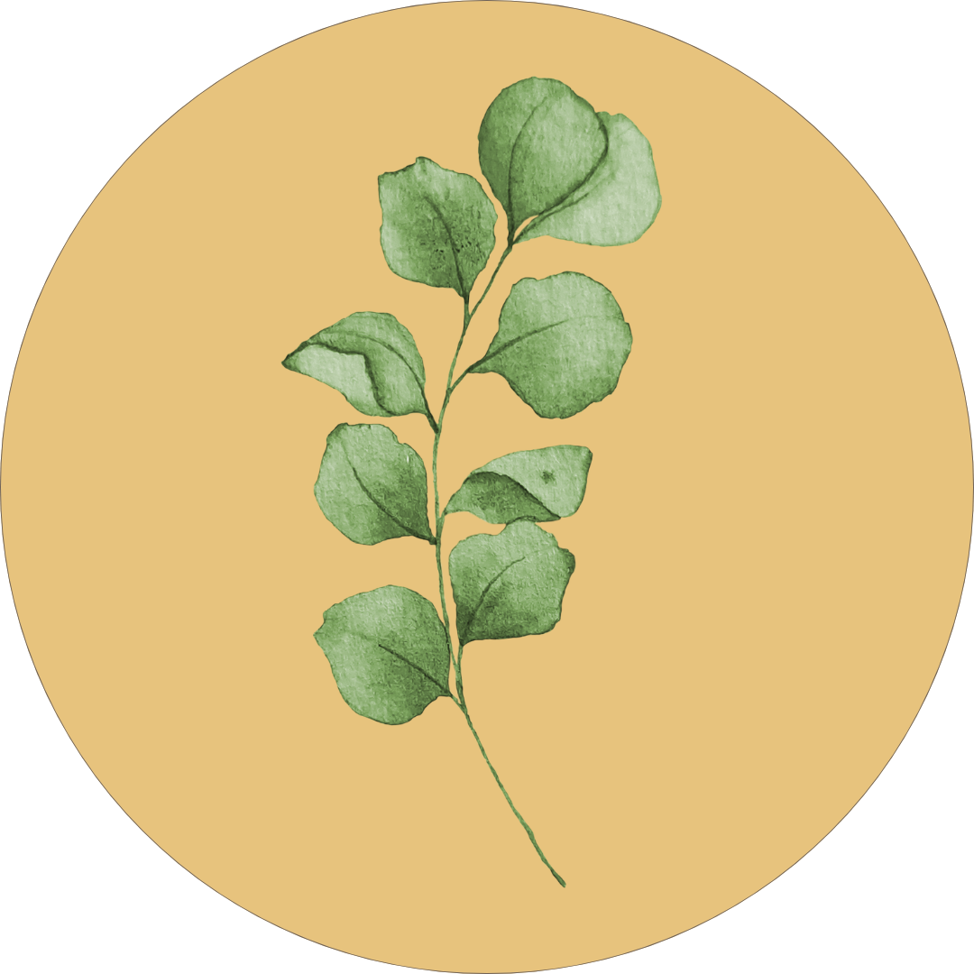 Blume im gelben Kreis